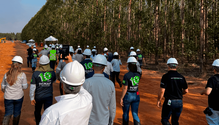 Trabalhadores da reflorestar em área de plantio de reflorestamento.